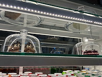 Koelvitrine combinatie 4,9m breed - afbeelding 35 van  41