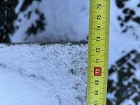 Koel/vriescel, smeva, wit - afbeelding 43 van  49