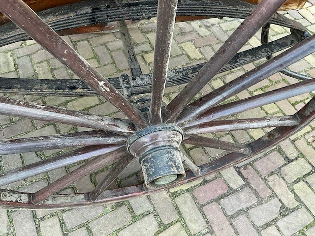 Koetsbartafel - afbeelding 6 van  13