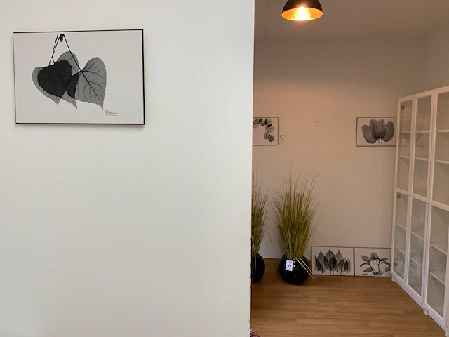 Koetsier prent op hout (5x) - afbeelding 3 van  10