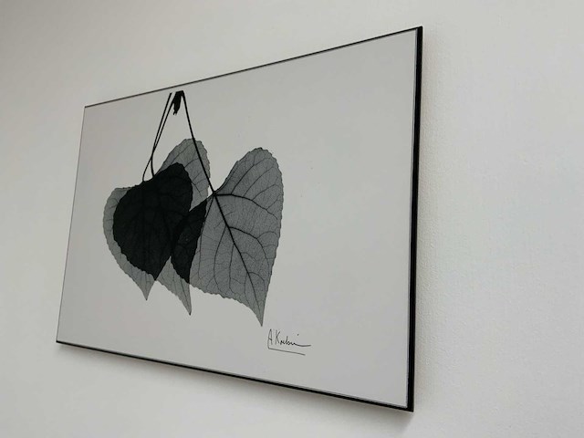 Koetsier prent op hout (5x) - afbeelding 4 van  10