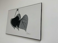 Koetsier prent op hout (5x) - afbeelding 4 van  10