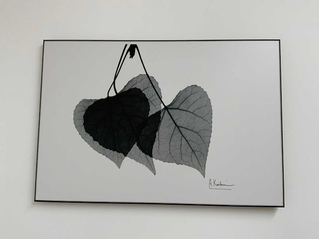 Koetsier prent op hout (5x) - afbeelding 5 van  10