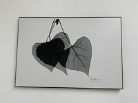 Koetsier prent op hout (5x) - afbeelding 5 van  10