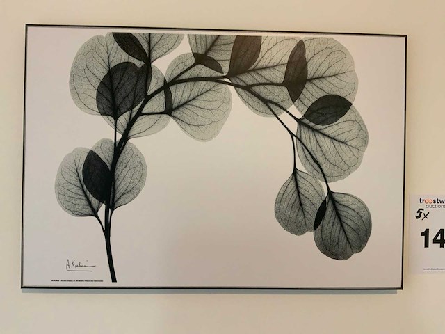 Koetsier prent op hout (5x) - afbeelding 6 van  10