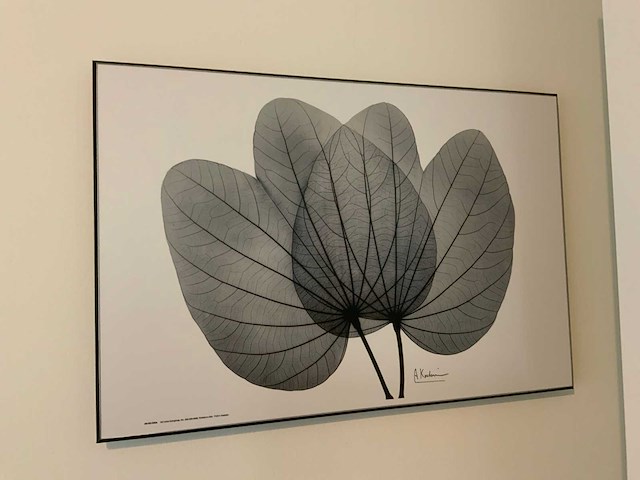 Koetsier prent op hout (5x) - afbeelding 7 van  10