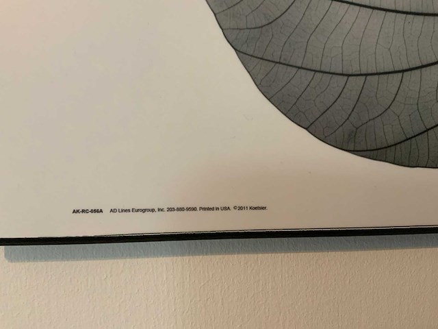 Koetsier prent op hout (5x) - afbeelding 8 van  10