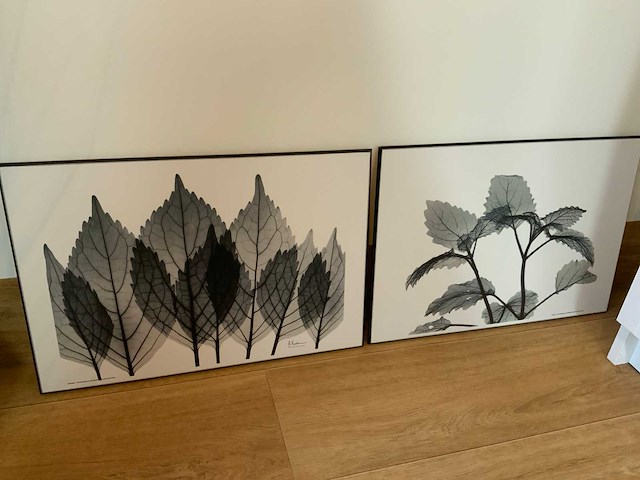 Koetsier prent op hout (5x) - afbeelding 9 van  10