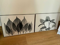 Koetsier prent op hout (5x) - afbeelding 9 van  10