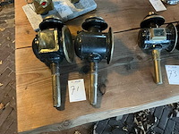 Koetslantaarn (2x) - afbeelding 1 van  6