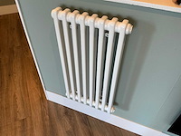 Kolom radiator 41 x 75 cm - afbeelding 1 van  7