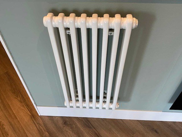 Kolom radiator 41 x 75 cm - afbeelding 2 van  7