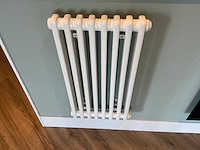 Kolom radiator 41 x 75 cm - afbeelding 2 van  7