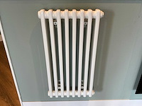 Kolom radiator 41 x 75 cm - afbeelding 4 van  7