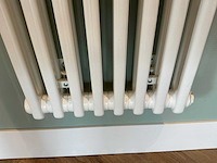 Kolom radiator 41 x 75 cm - afbeelding 6 van  7