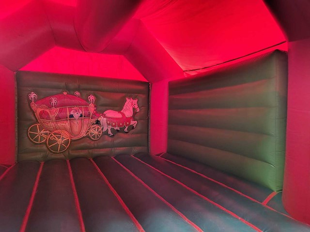 Koning en prinses + overkapping - afbeelding 8 van  15