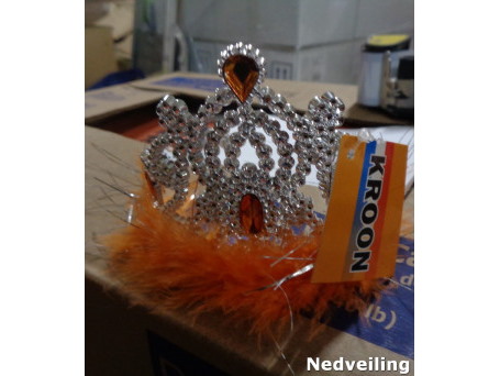 Koningsdag veiling veldhoven 2a