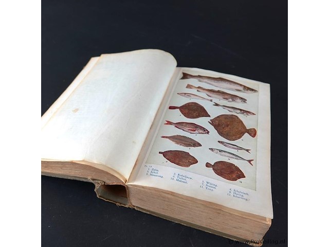 Kookboek van de amsterdamsche huishoudschool - afbeelding 5 van  5