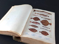 Kookboek van de amsterdamsche huishoudschool - afbeelding 5 van  5