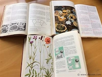 Kookboeken 3st - afbeelding 2 van  2