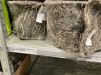 Koord, vilt - afbeelding 6 van  48