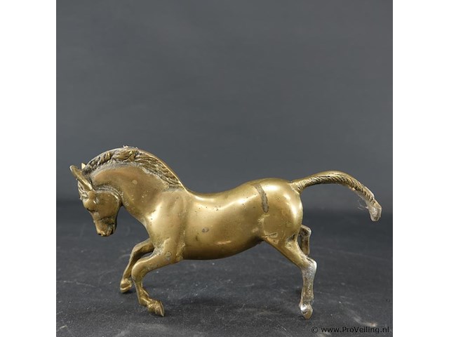 Koperen paard - afbeelding 2 van  5