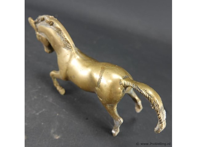 Koperen paard - afbeelding 3 van  5