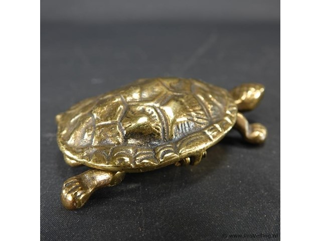 Koperen schildpad als scharnierende dekseldoos - afbeelding 4 van  5