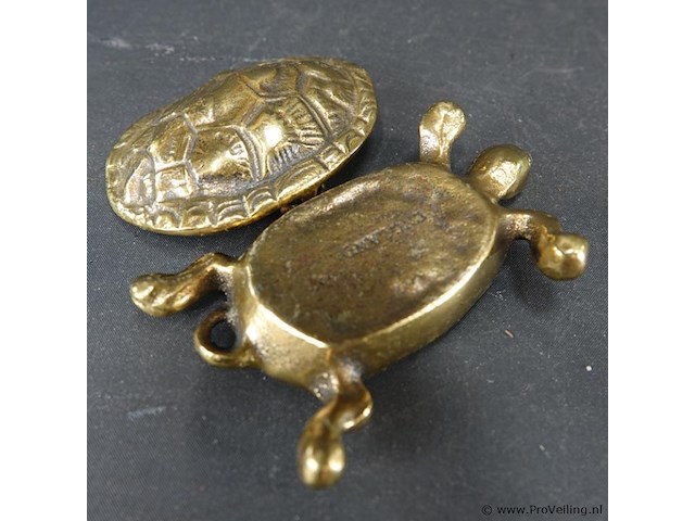 Koperen schildpad als scharnierende dekseldoos - afbeelding 5 van  5