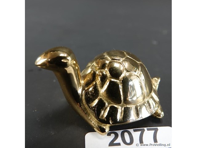 Koperen schildpad - afbeelding 1 van  5