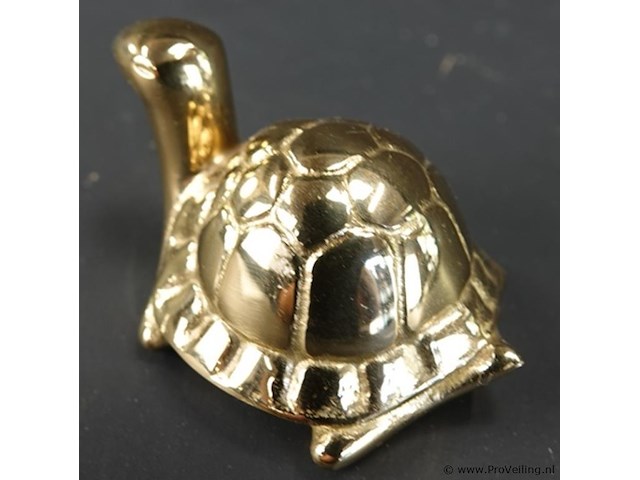 Koperen schildpad - afbeelding 2 van  5