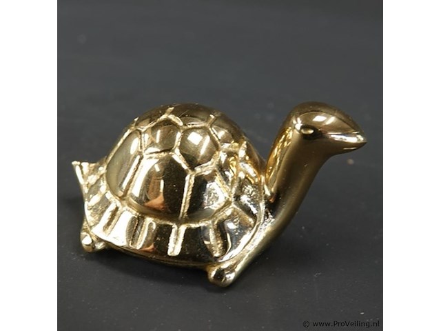 Koperen schildpad - afbeelding 3 van  5