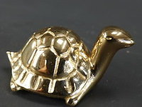 Koperen schildpad - afbeelding 3 van  5