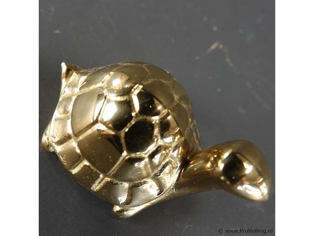 Koperen schildpad - afbeelding 4 van  5