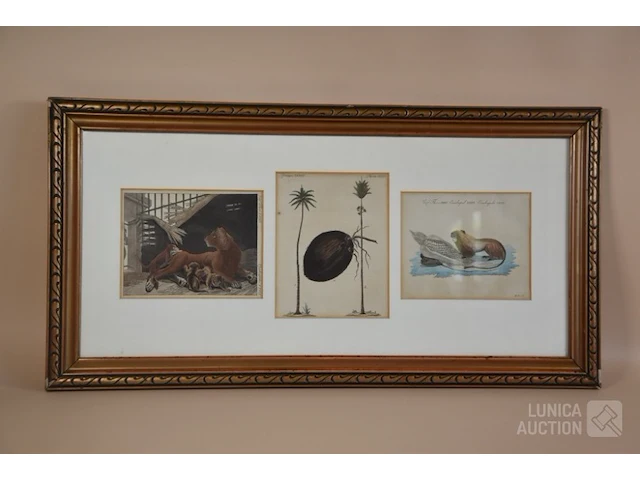 Kopergravures - afbeelding 1 van  7
