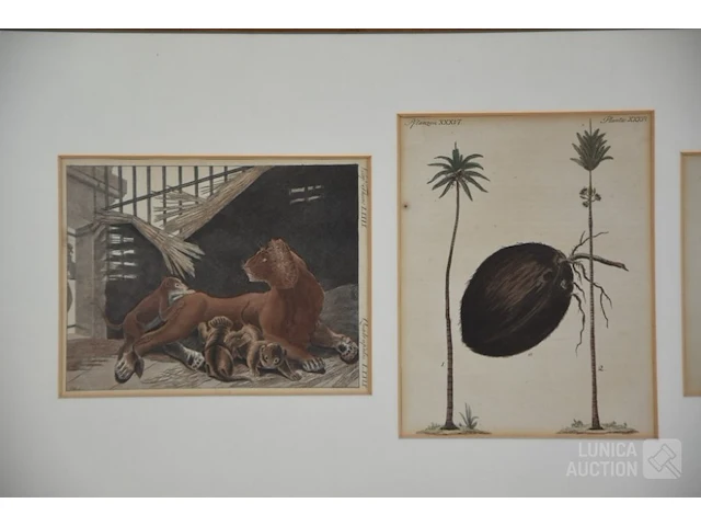 Kopergravures - afbeelding 2 van  7