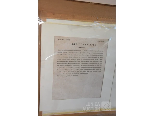 Kopergravures - afbeelding 5 van  7