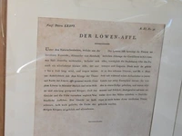 Kopergravures - afbeelding 5 van  7