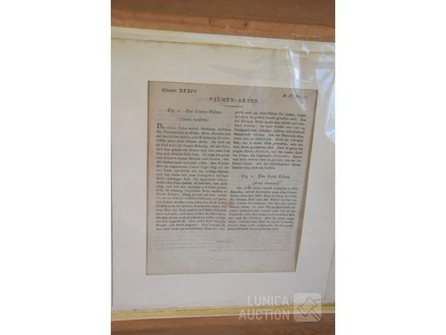 Kopergravures - afbeelding 6 van  7