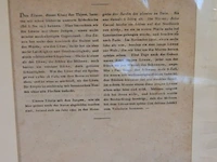 Kopergravures - afbeelding 7 van  7