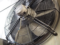 Koppens / gea goedhart b.v. - afbeelding 15 van  26