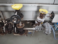 Koppens - afbeelding 9 van  24