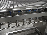 Kortlever - afbeelding 11 van  15