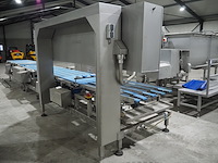 Kortlever - afbeelding 18 van  23