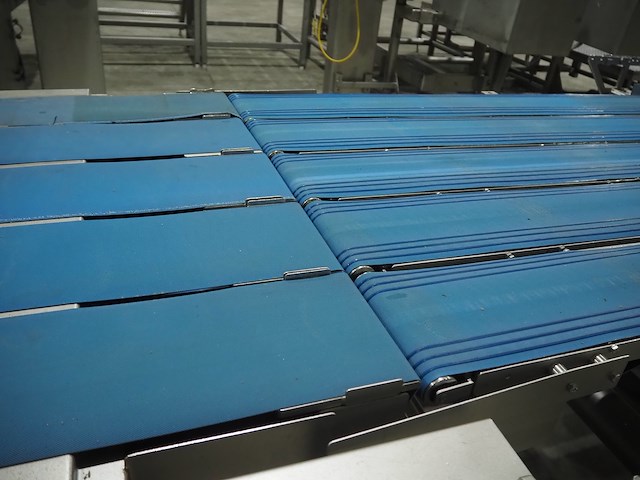 Kortlever - afbeelding 22 van  23