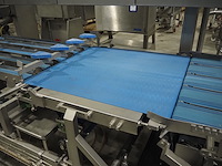 Kortlever - afbeelding 23 van  23