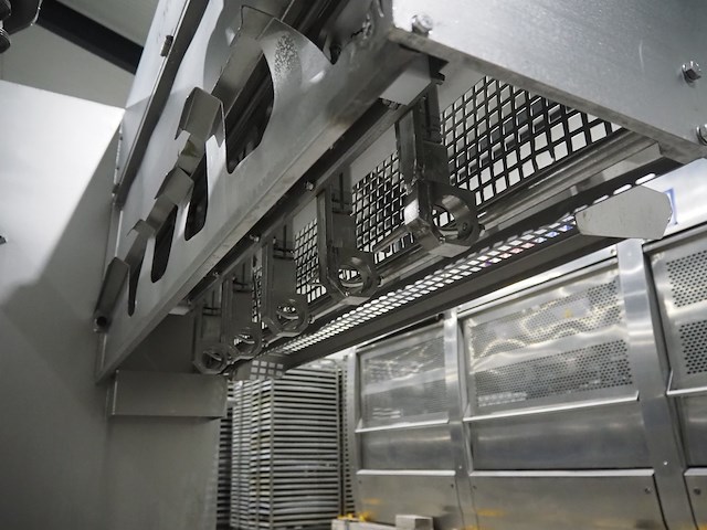 Kortlever - afbeelding 13 van  15