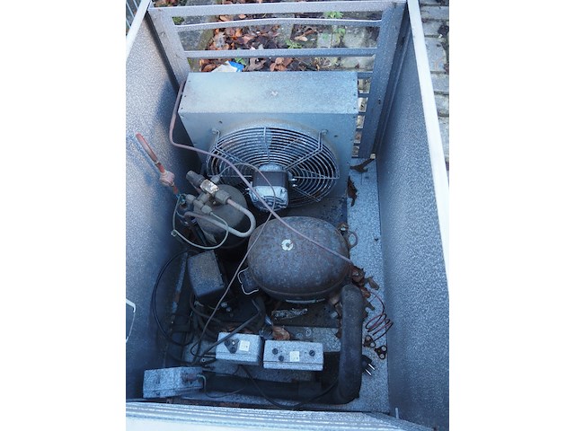 Kovu - afbeelding 5 van  9