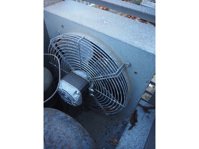 Kovu - afbeelding 6 van  9