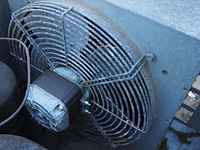 Kovu - afbeelding 6 van  9